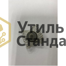 Паук белый